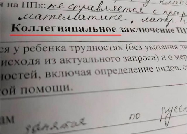 Перлы - 07.02.2023
