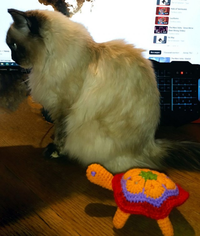 Мои вязаные финтифлюшки