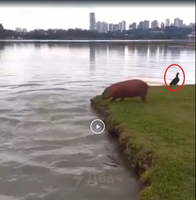 Достало всё