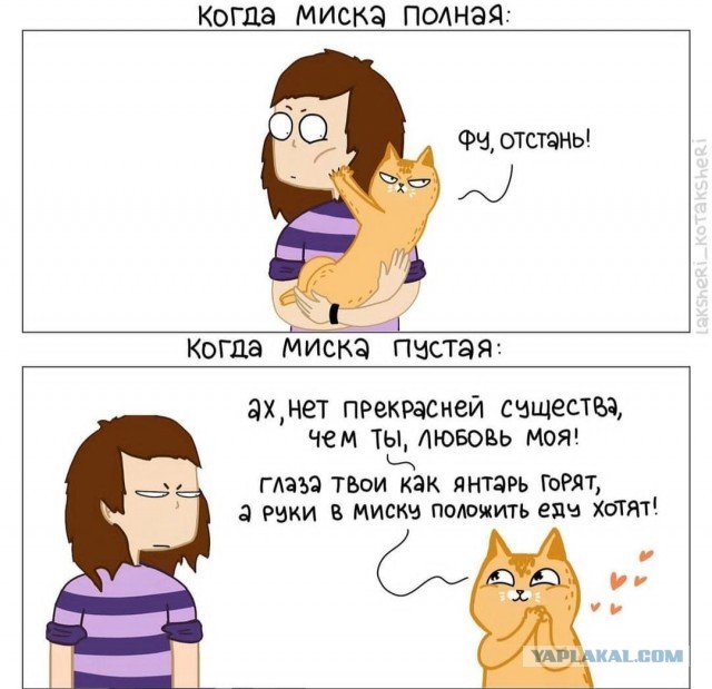 Забавные комиксы о реалиях жизни с кошкой