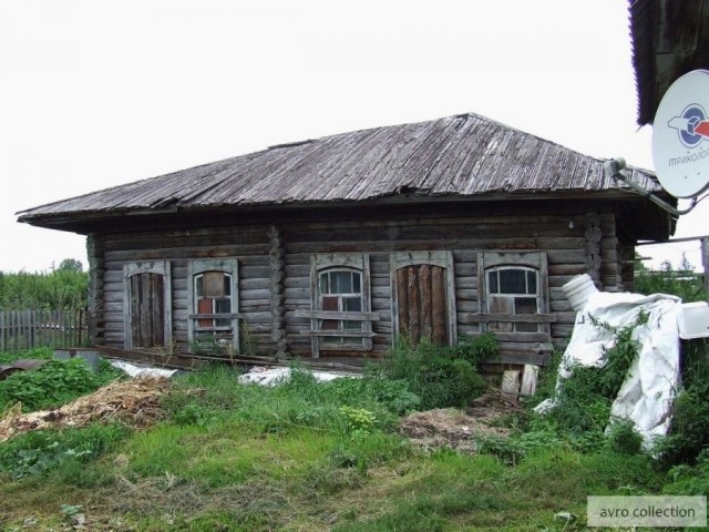 Васюганские болота: какие артефакты, найденные в самой большой топи мира, поразили ученых