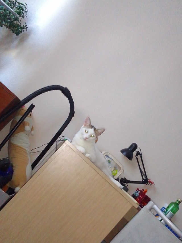 Кожаный, я тебя выбрал!