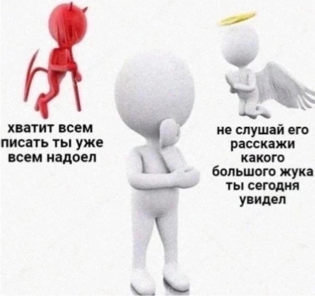 Картинки от Scodero