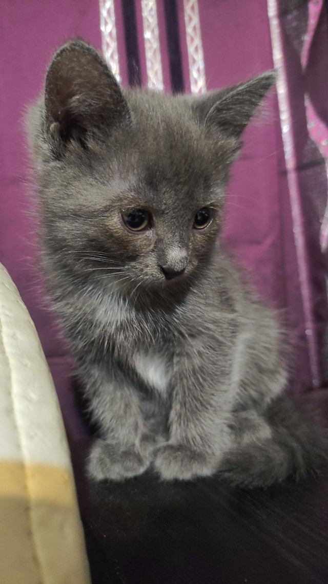 Вот и я стал рабом.