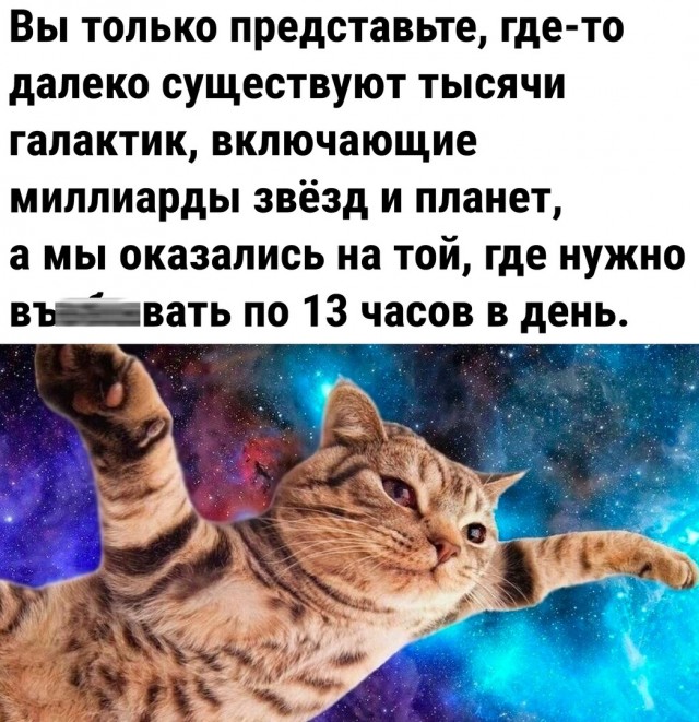 Так себе картинки 13.02.24