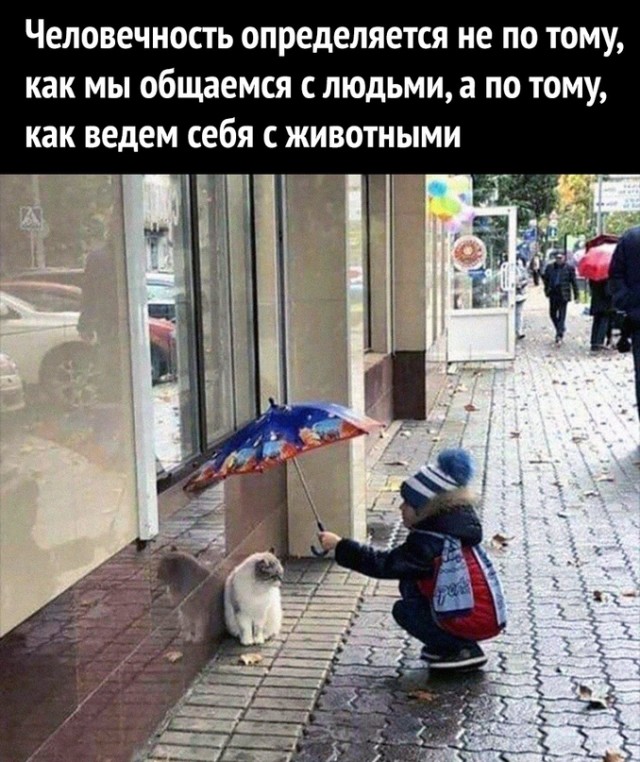 Весёлый полтишок 22.04.24