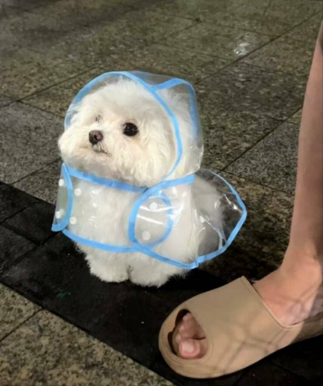 ФотоВинегрет