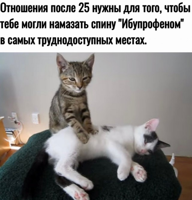 Весёлый полтишок 26.07.24