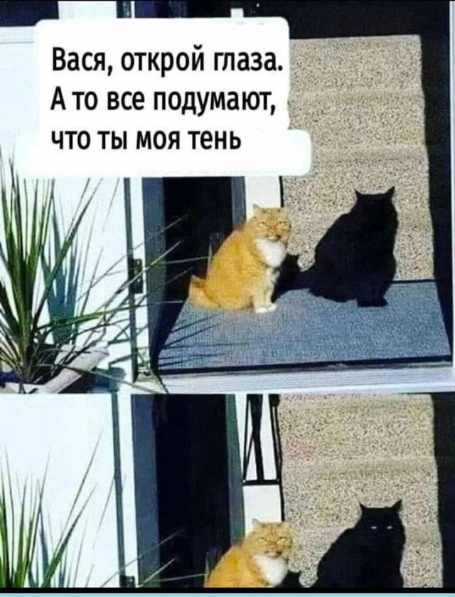 Картинки разные с надписями и без
