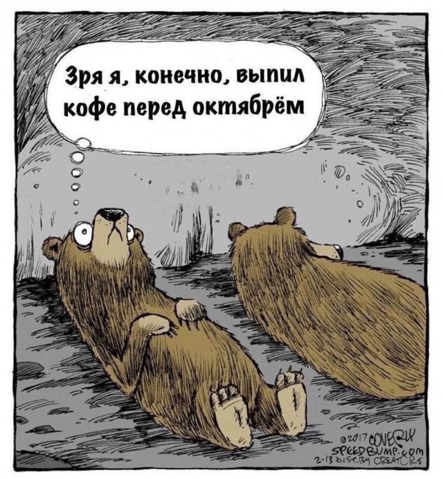 Так себе картинки 19.10.24