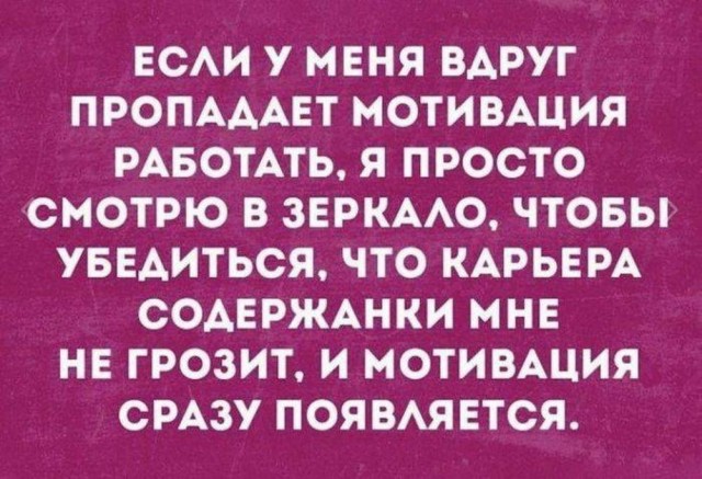Немного забавных картинок от 22.12.24
