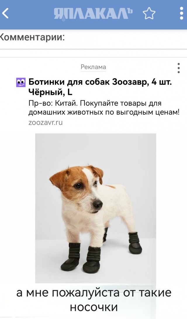 Бабушки