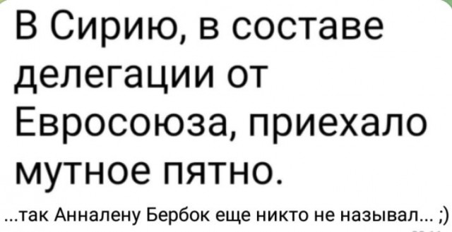 Сирийское руководство замазало Бербок на фото встречи в Дамаске