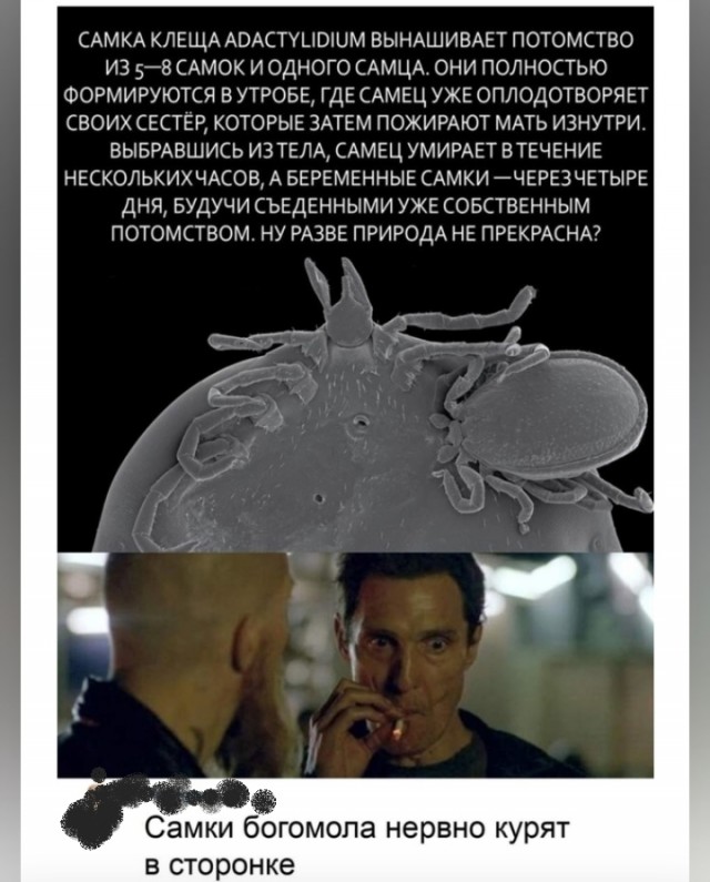 Так себе картинки 27.02.25