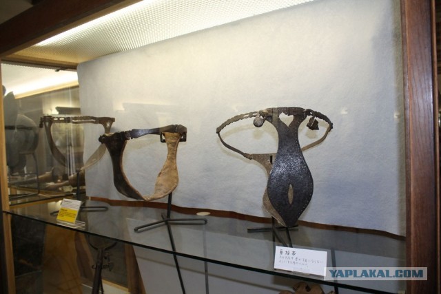 В Германию на сертификацию.