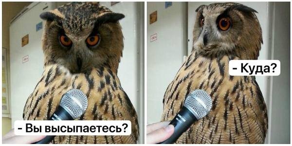 Ранний подъём снижает риск депрессии, — исследование