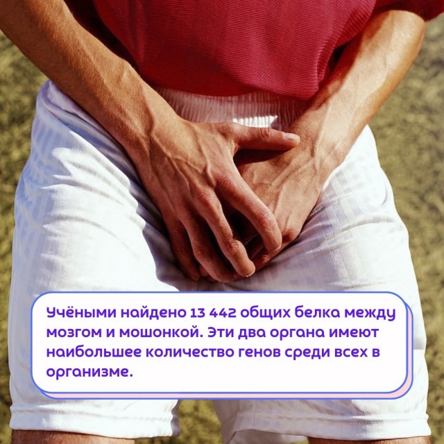 Всячина