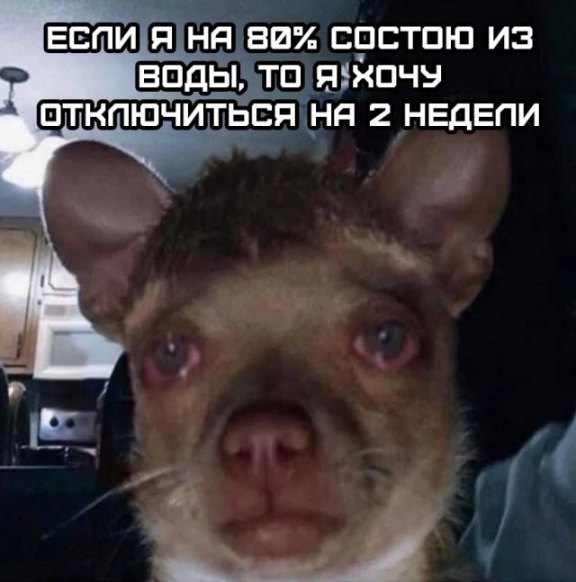Так себе картинки 26.06.25