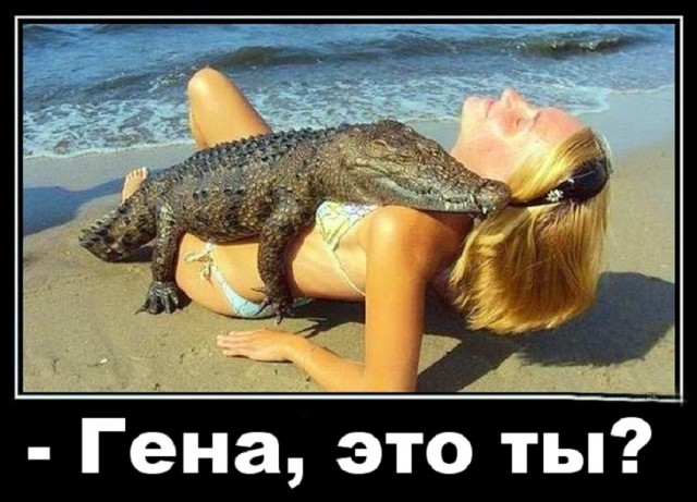 Так себе картинки 29.07.25