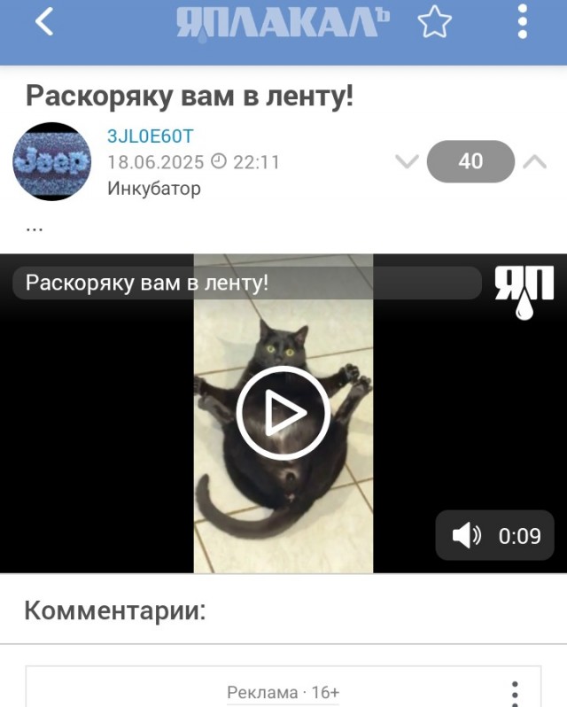 Раскоряку вам в ленту!