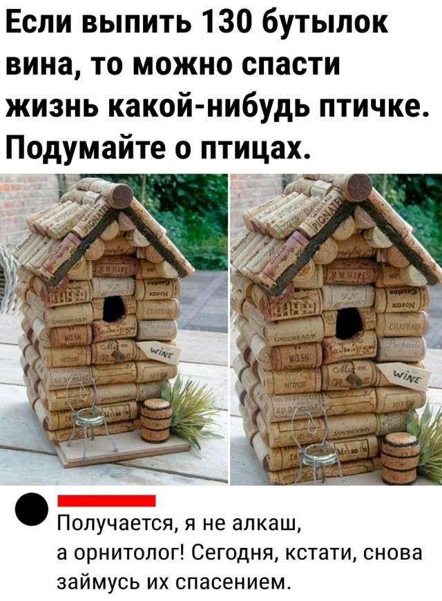 Так себе картинки 05.08.25