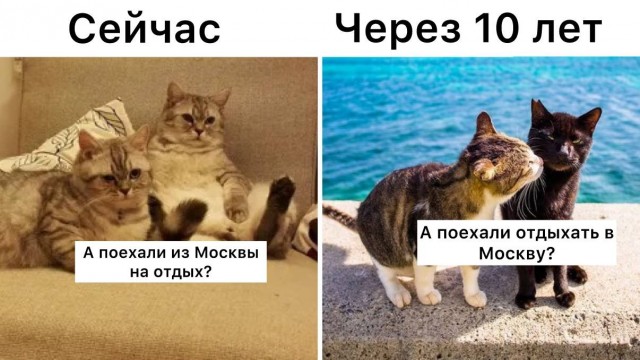 Бл..дь! Что это!!!