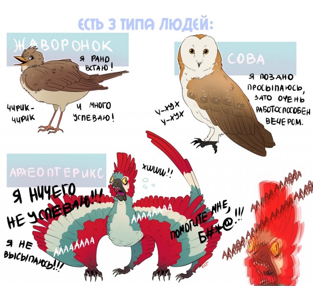 Учёные рассказали, что помимо «жаворонков» и «сов» среди людей существуют и «голуби».