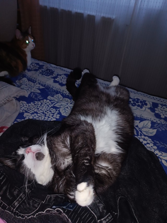 А теперь хорошие новости