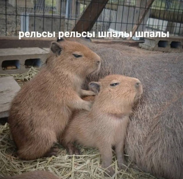 Дегрономикон 2