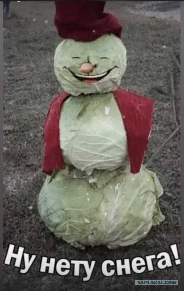 Вот и у нас зима пришла