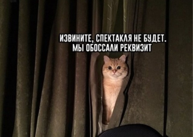 Артистка