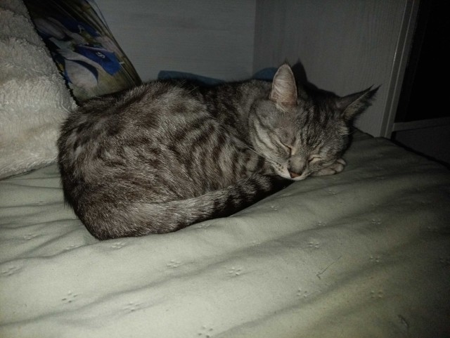 А что, если…