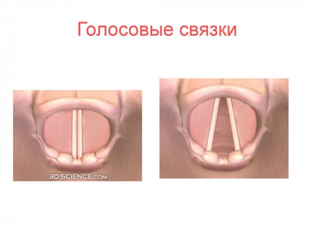 Такого Вы еще не видели...
