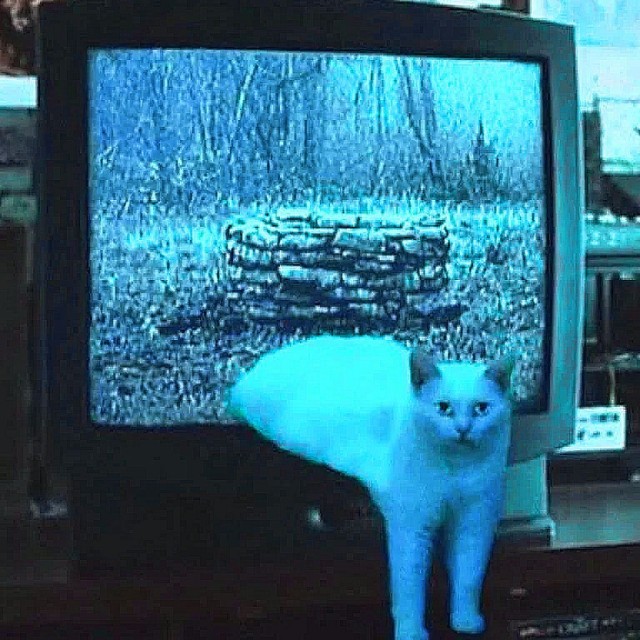 Немного картинок на ночь