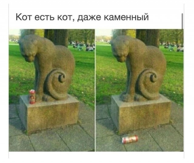Картинки для деградации 196 (разной степени свежести)