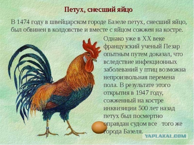 Супчик из СССР.