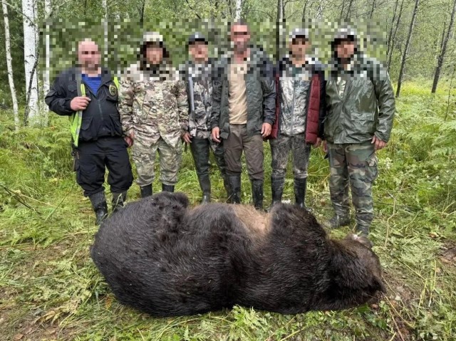 В районе на Алтае, где медведь убил туристку, ликвидировали 12 медведей