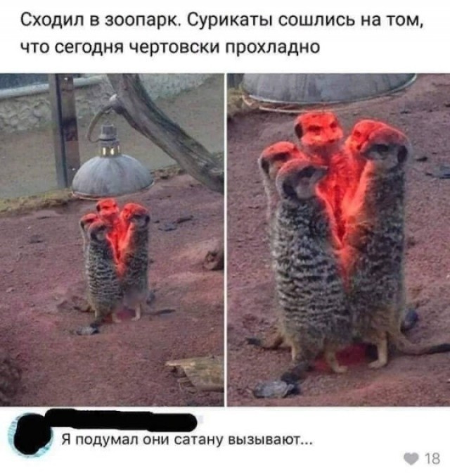 Картинки для деградации 265 (разной степени свежести)