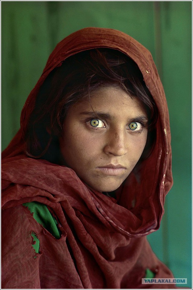 Победители AdMe Photo Awards 2013