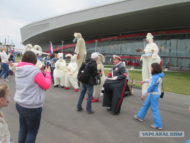 Как я ездил на кёрлинг