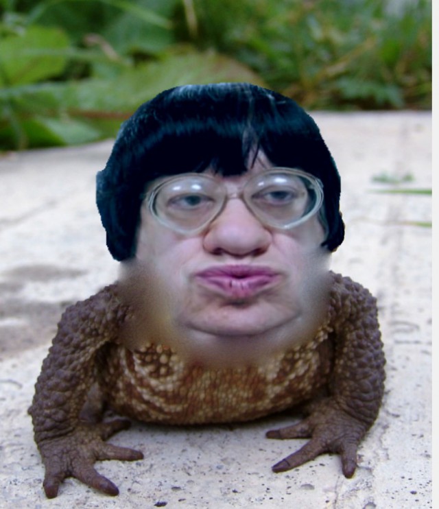 Рус! Уползай в кусты, сдавайся!