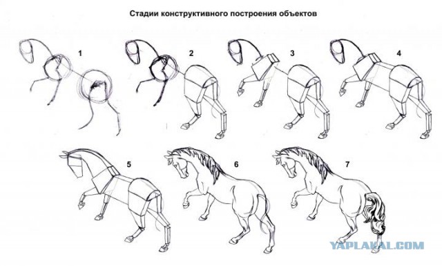 портрет