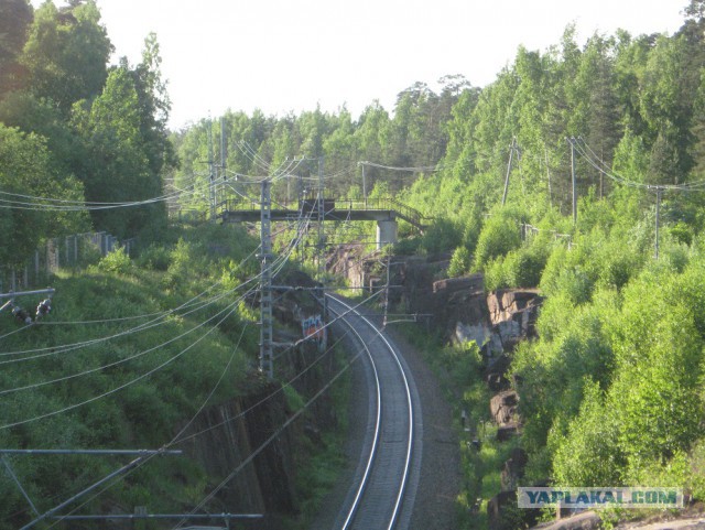 Быдлотуризм