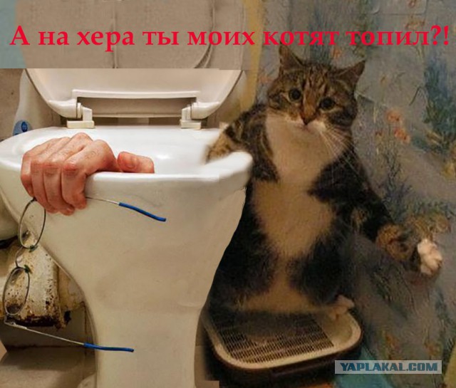 Картинки и юмор