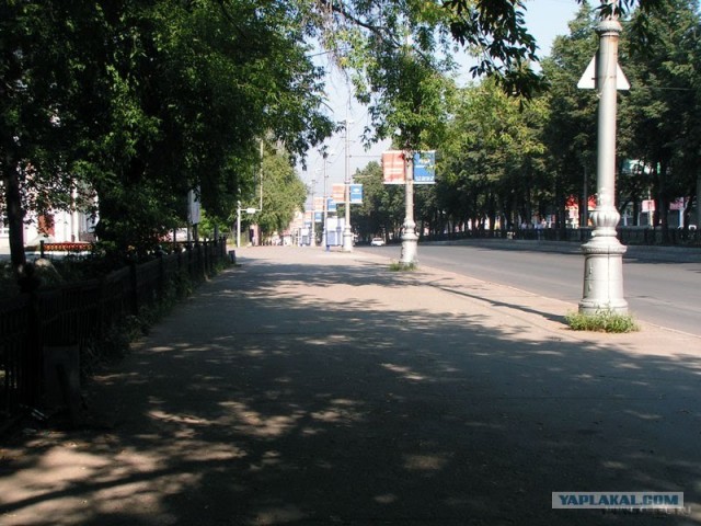 Когда деревья были большими