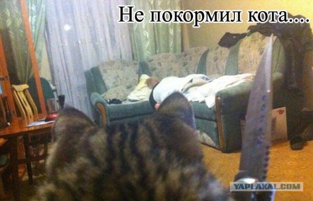 Картинки из сети на 02.05.2015