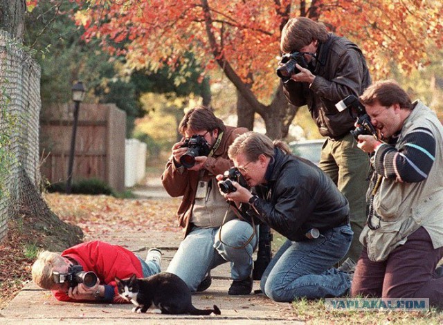 На что идут фотографы в погоне за снимком