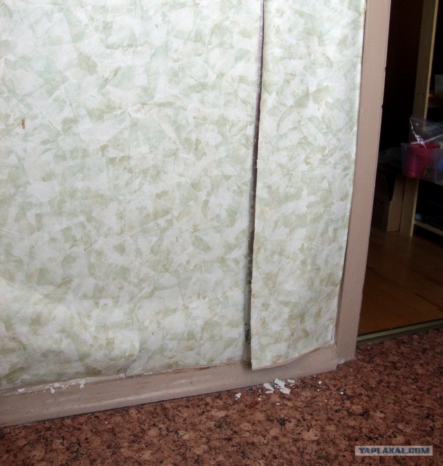 Жизнь в новостройке