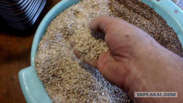 Карамелоьное домашнее пиво от "а " до " я"