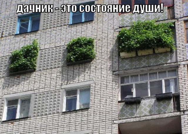 Замутил огород на балконе